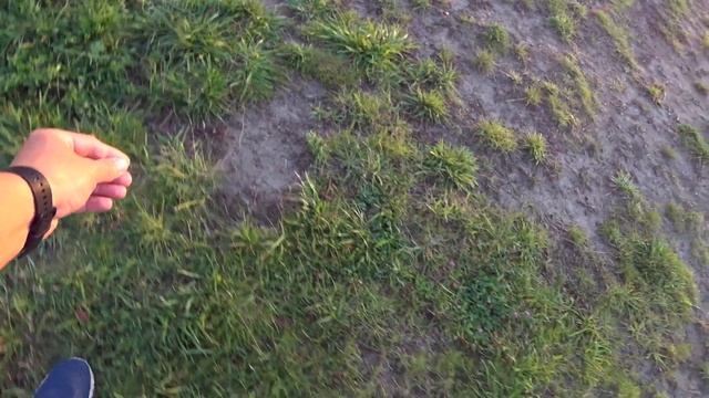 Мозговая дрессировка. Шпиц Бэлла на Общем Курсе Дрессировки собак смотреть онлайн