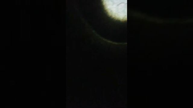 Спуск в подвал дома ч2. смотреть онлайн