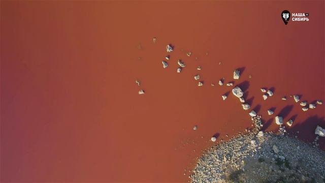 Наша Сибирь 4К: Опукский природный заповедник смотреть онлайн