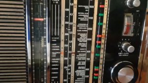 Grundig Satellit Transistor 6001 в чехле (2021)