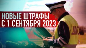 Авто рейтинги и гаджеты
