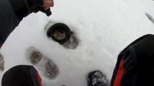 ПОСМОТРИТЕ как КЛЮЕТ ЩУКА на БАЛАНСИР! Сломала Новую Удочку!