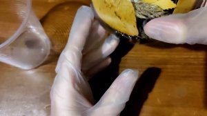 Осенний гербарий в эпоксидной смоле "Золотая осень". Сможет повторить каждый!