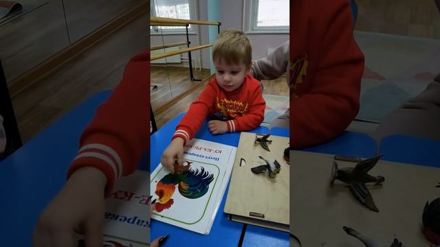 Групповое занятие. Запуск речи. Раннее развитие. Домашние птицы смотреть онлайн