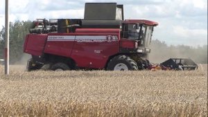 уборка озимой пшеницы ПАЛЕССЕ GS 12. и ГОМСЕЛЬМАШ ГС12А1 ПРО