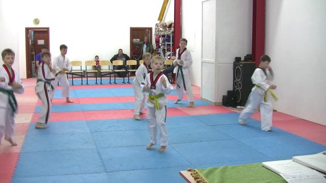 Тхэквондо. Алькор. Аттестация на зелёный пояс