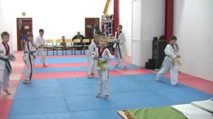 Тхэквондо. Алькор. Аттестация на зелёный пояс