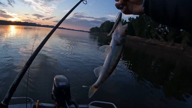 Ахтуба.Харабали 2022.День 2 и 3.Первый раз ловим на реке!!!!! смотреть онлайн