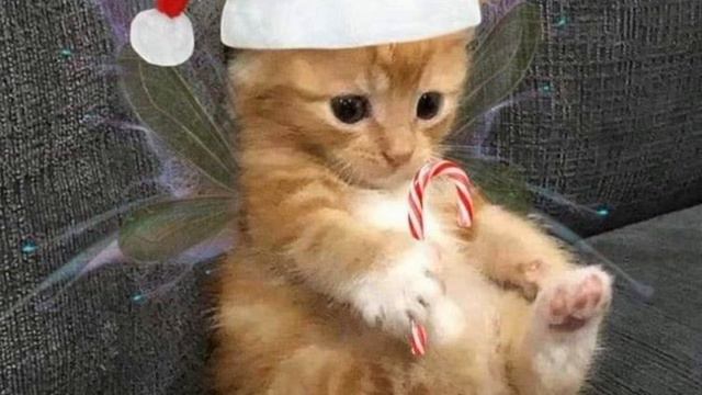 зачем ты раздеваешься?! У меня скоро день рождение🥳✨ смотреть онлайн