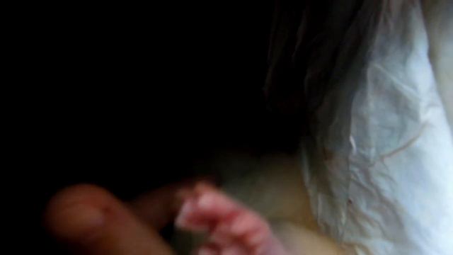 Сплюшка смотреть онлайн