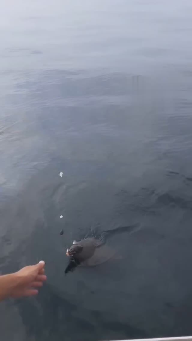 Морская рыбалка во Владивостоке