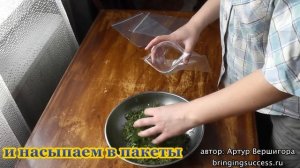 Как сохранить зелень свежей (заготовка на зиму)