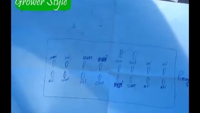 Освещение теплицы. МГЛ плюс ДНАТ