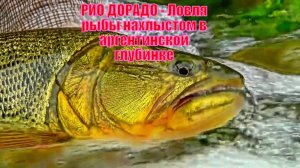 РИО ДОРАДО - Ловля рыбы нахлыстом в аргентинской глубинке
