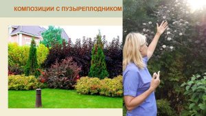 Как сочетать цвета в ландшафтном дизайне - смотреть видео онлайн от «channel36597164» в хорошем каче