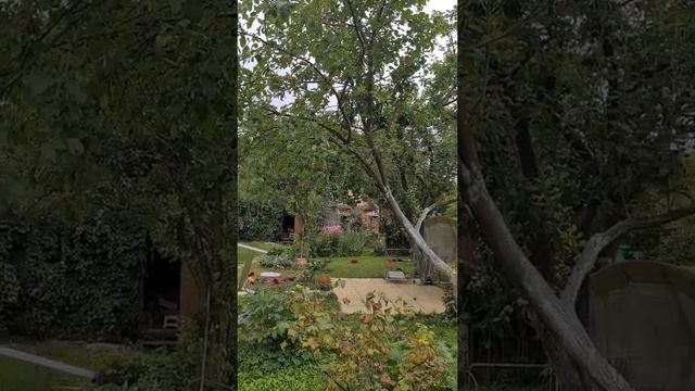 моя работа в саду взгляд со стороны заказчика часть 3 Московская область #химки #москва смотреть онлайн