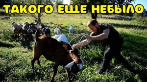 КУПИЛИ ДОМ В ДЕРЕВНЕ. ТАКОГО ВЕСЕЛОГО ДНЯ У НАС ЕЩЕ НЕ БЫЛО