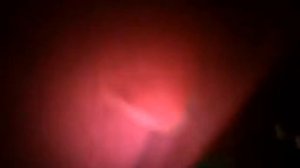 Мой дом из подушек и одеял