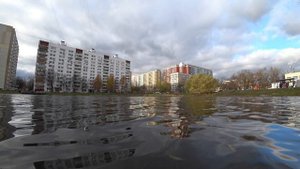 Как ЗАЩИТИТЬСЯ ОТ КОЛДУНОВ? Старец Фаддей Витовницкий