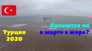Идем на пляж. Кормим турецких кошек. Купаются ли в марте в море? Турция 2020
