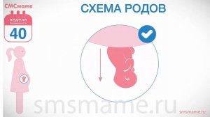 40 неделя беременности - как проходят роды, можно ли есть во время родов?