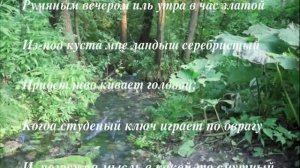 Страна читающая - "Когда волнуется желтеющая нива..."