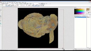 Bryce 7.1 Pro Advanced - converting procedural textures into image maps 3 - by David Brinnen.