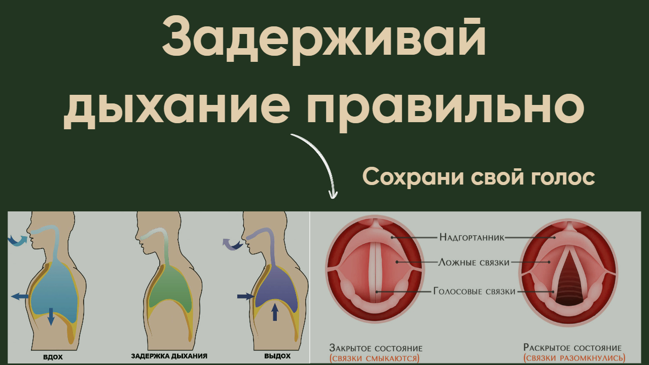 Дыхание ютуб. Двойной вдох техника. Голосовое дыхание. Голосовое дыхание это в медицине. Техника и циклы дыхания.