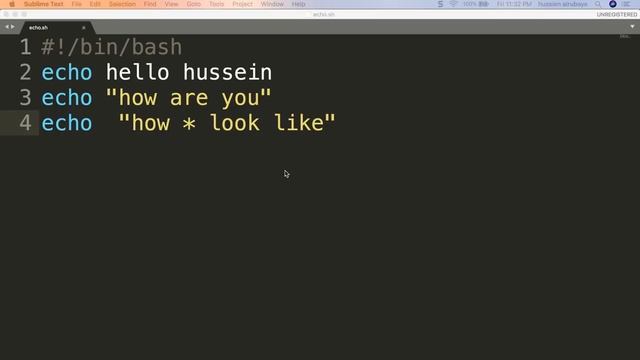 3- Shell Scripting: echo| الطباعة смотреть онлайн
