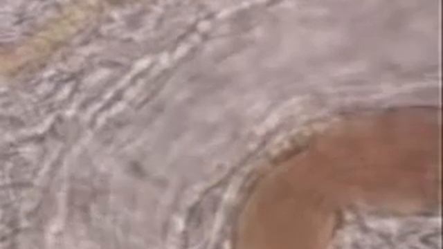 Сокращение гладких мышц смотреть онлайн