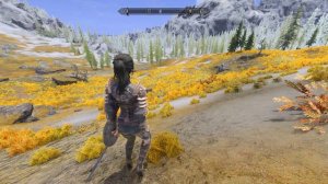 【The Elder Scrolls V: Skyrim】プルプルさせながらあてもなく冒険　その106