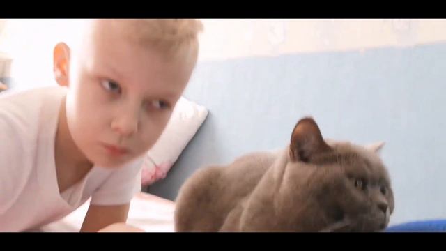 Прикалываюсь с котом через голосовой переводчик!