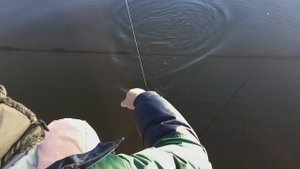 Нижегородская область. Бармино