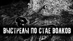ЧЕТЫРЕ ВОЛКА ЗА ТРИ ВЫСТРЕЛА
