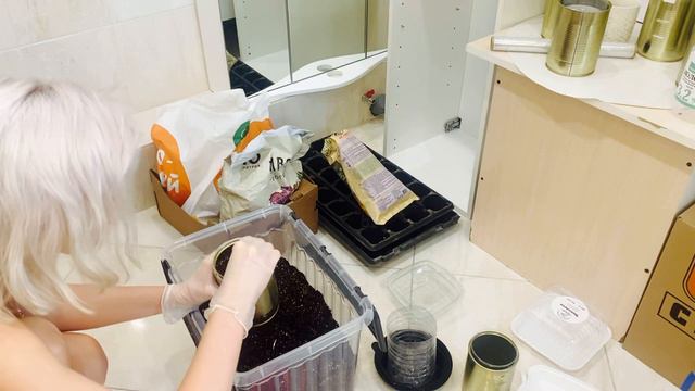 Результат посева петунии в пакетах за 2/ 4 руб Agroni смотреть онлайн