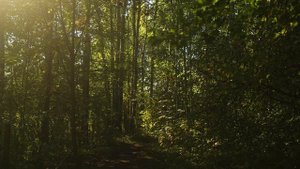 Грустная музыка из Тик Тока без слов для фона. Фоновая музыка для Стихов Цитат