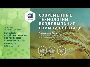 Современные технологии возделывания озимой пшеницы