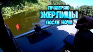 Утром приехал проверить жерлицы На каждой была сработка (часть 3)