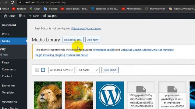How To Upload Images Using URL to Media Library in WordPress