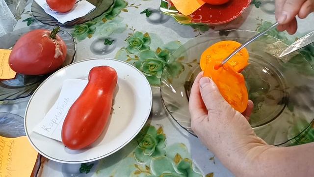 Убираю томаты в парнике / Томат ,,Сердце Дездемоны,, / Делаю семена томатов быстрым способом .