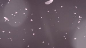 Мацуо Басё - Хокку.mp4