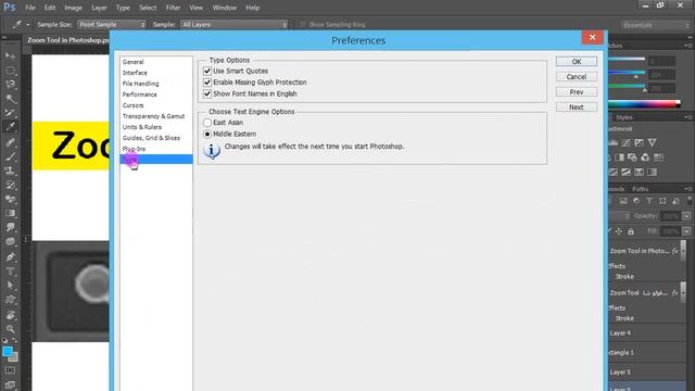 How to Use Zoom Tool in Photoshop