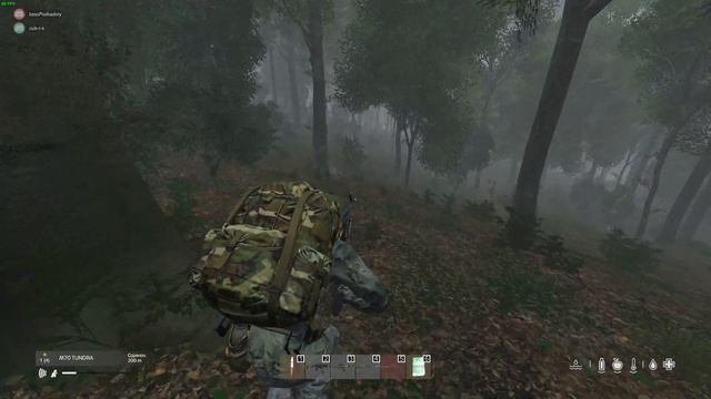 Dayz Livonia Первая встреча с медведем!