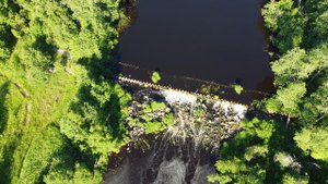 остатки плотины на реке Воронежке в Ленинградской области
