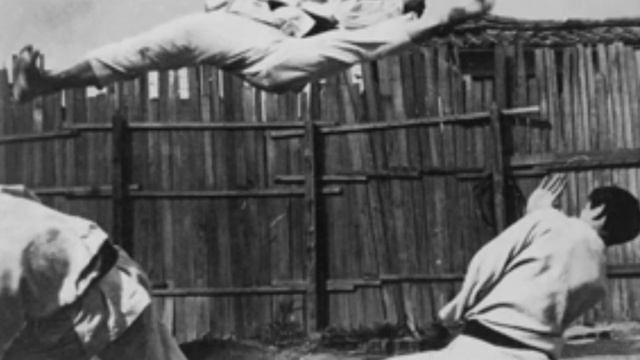 El hapkido - La vía de la unión y la energía universal смотреть онлайн