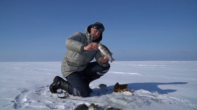 время окуня куршский залив часть2 смотреть онлайн