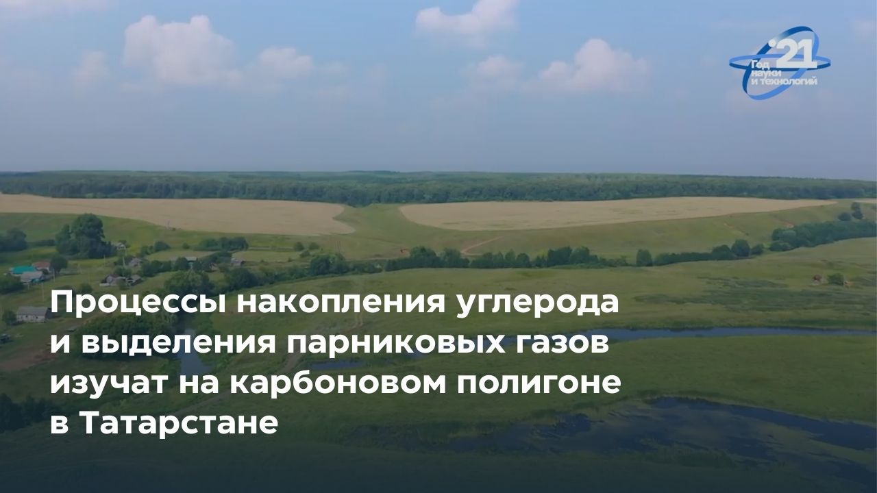 Процессы накопления углерода и выделения парниковых газов изучат на карбоновом полигоне в Татарстане