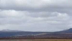 Охота на лебедей 1