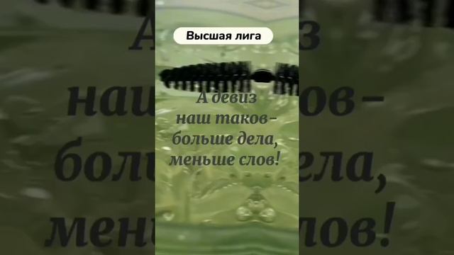 Девизы и название для отряда