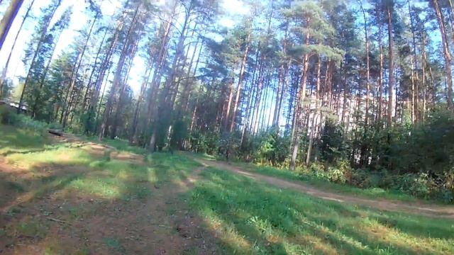 дерты в кузьмолово
